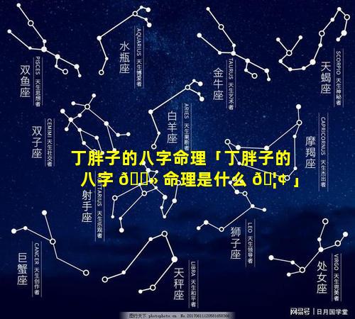 丁胖子的八字命理「丁胖子的八字 🌻 命理是什么 🦢 」